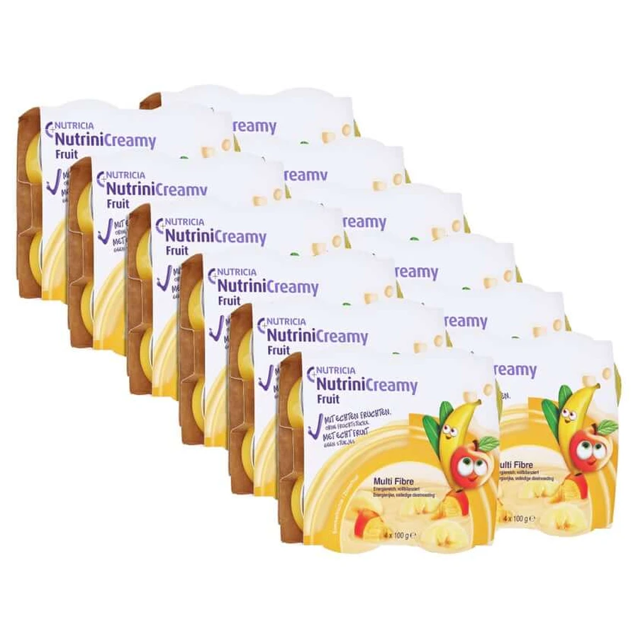 Nutrini Creamy Fruit Sommerfrüchte 48X100 g