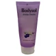 Bodysol Aroma Gel de Ducha Vainilla Zarzamora 100 ml