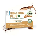 Sterkste biologische gemberextract-capsules - Gingerin PLUS® 60 capsules
