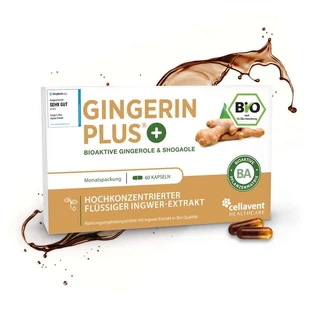 Las Cápsulas de Extracto de Jengibre Ecológico más Potentes - Gingerin PLUS® 60 Cápsulas