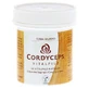 Cordyceps Vital Paddenstoel Terra Mundo Capsules 60 Capsules