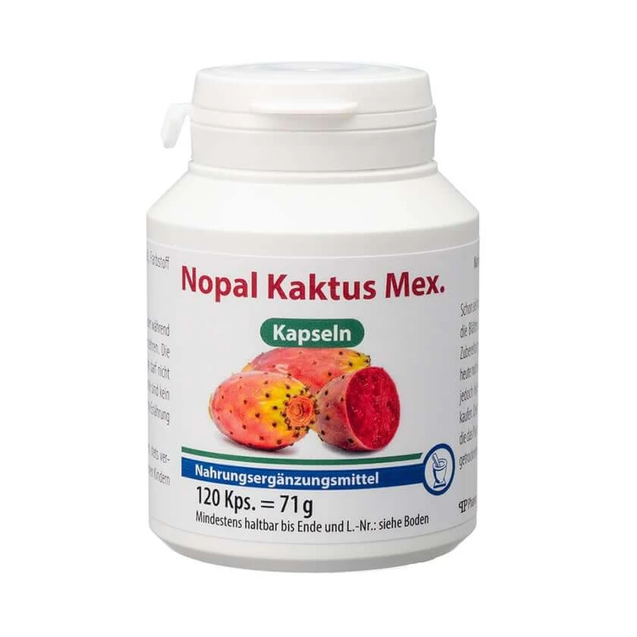 Nopal Cactus Mex Capsules 120 Capsules