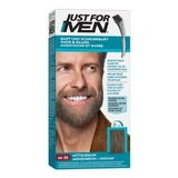 JUST for men Brush in Color Gel medium bruin 28,4 ml
