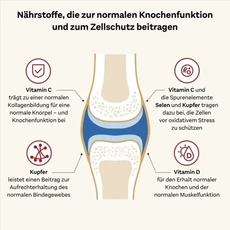 Doppelherz system Collagen 11.000 Plus Health + Mobility 30X25 ml