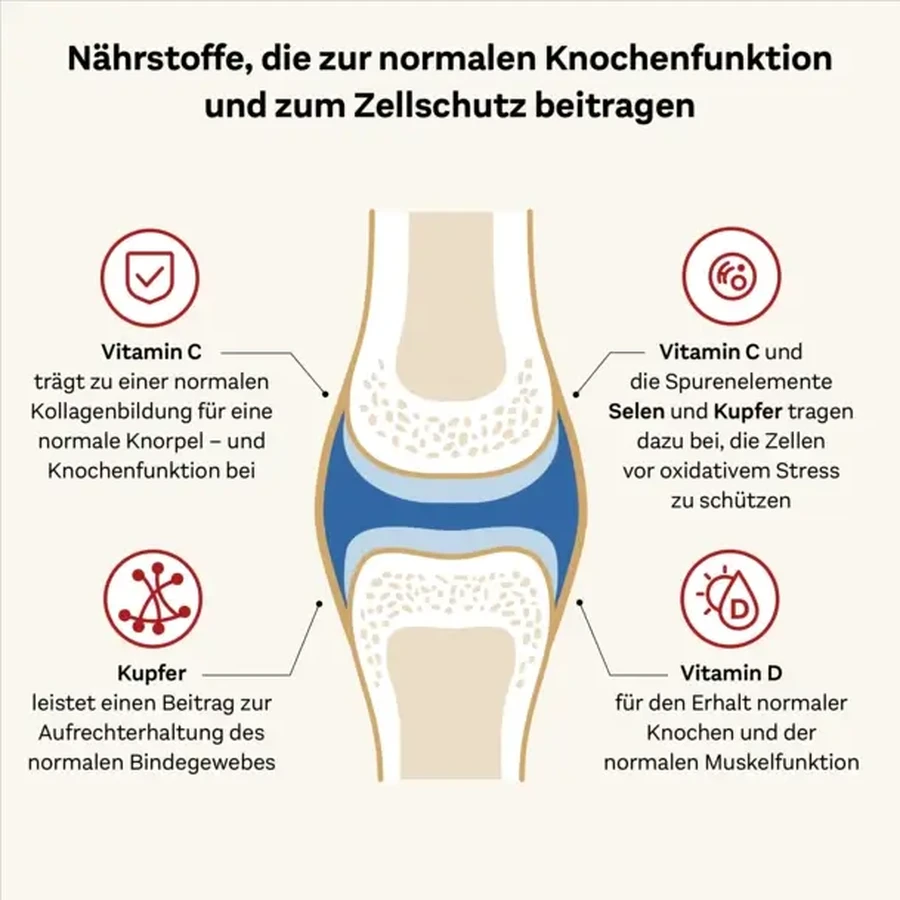 Doppelherz system Collagen 11.000 Plus Health + Mobility 30X25 ml