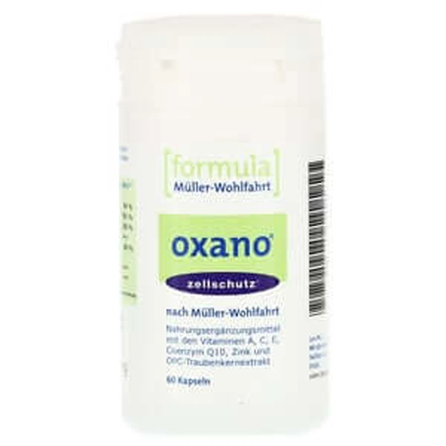 Protección anticorrosiva según Müller-wohlfahrt K 60 St
