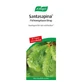 A.Vogel Santasapina Spruce Tip Syrup 200 ml