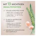 Merz Special Hair Activ 120 St