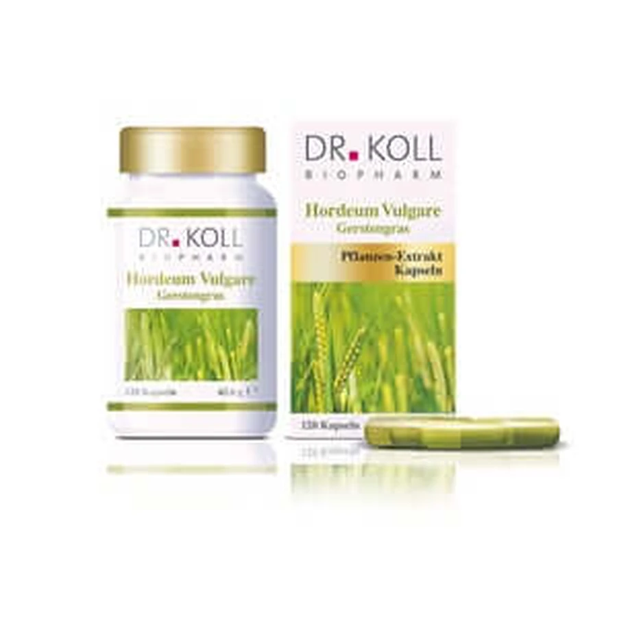 Dr. Koll Barley Grass - Hordeum vulgara 120 St.