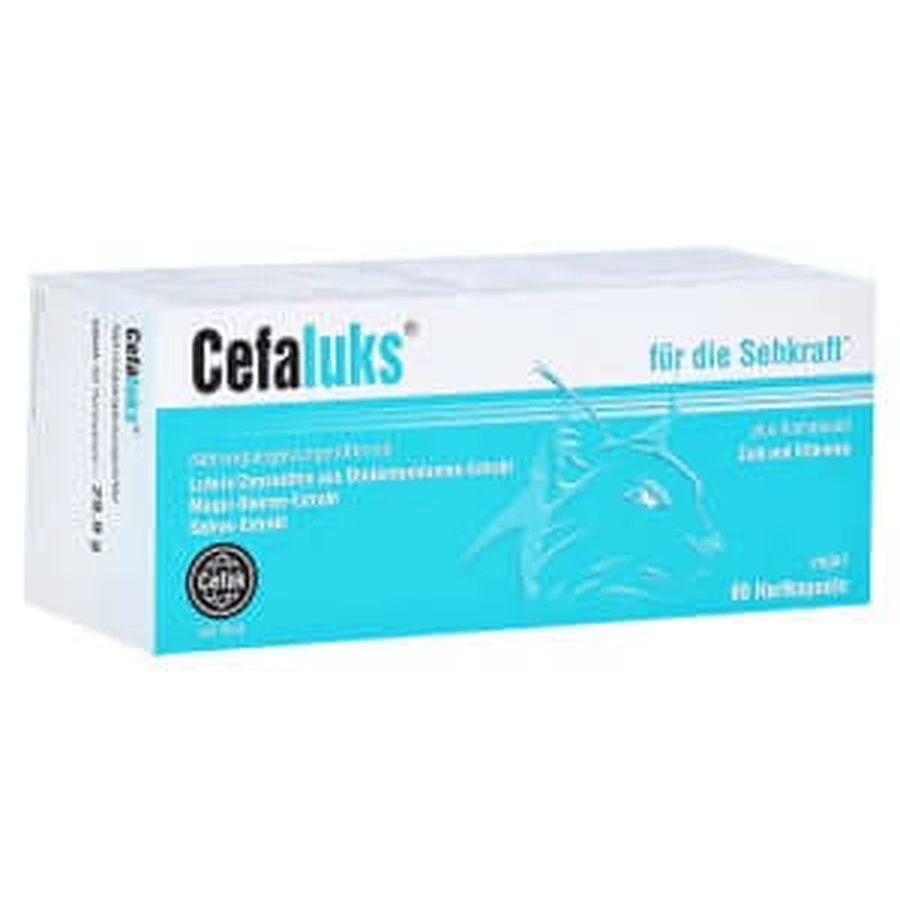 Cefaluks cápsulas duras 60 unid.
