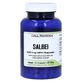 Salvia 120 mg GPH Cápsulas 120 Cápsulas