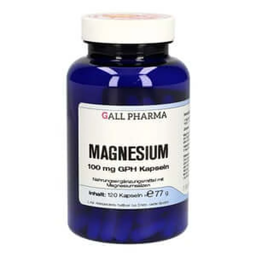 Magnesium 100 mg GPH Kapseln 120 St