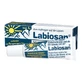 Labiosan ointment 8 g