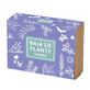 Savon &#224; la lavande, 100g, Bain aux herbes