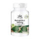Resveratrol 500 mg cápsulas 120 Cápsulas