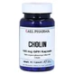 Colina 100 mg GPH Cápsulas 60 Cápsulas