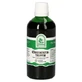 Mullein druppels 100 ml