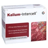 Potasio intercell cápsulas duras gastrorresistentes 120 Cápsulas