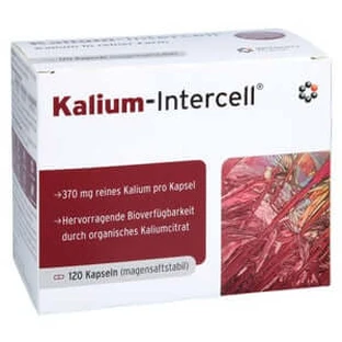 Potasio intercell cápsulas duras gastrorresistentes 120 Cápsulas