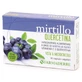Heidelbeere Quercetin 30 vegetarische Kapseln