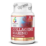 Farben des Lebens reines hydrolysiertes Meereskollagen 60 Kapseln 575 mg