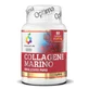 Colours of life colágeno marino hidrolizado puro 60 cápsulas 575 mg