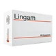 Lingam 30 tabletten