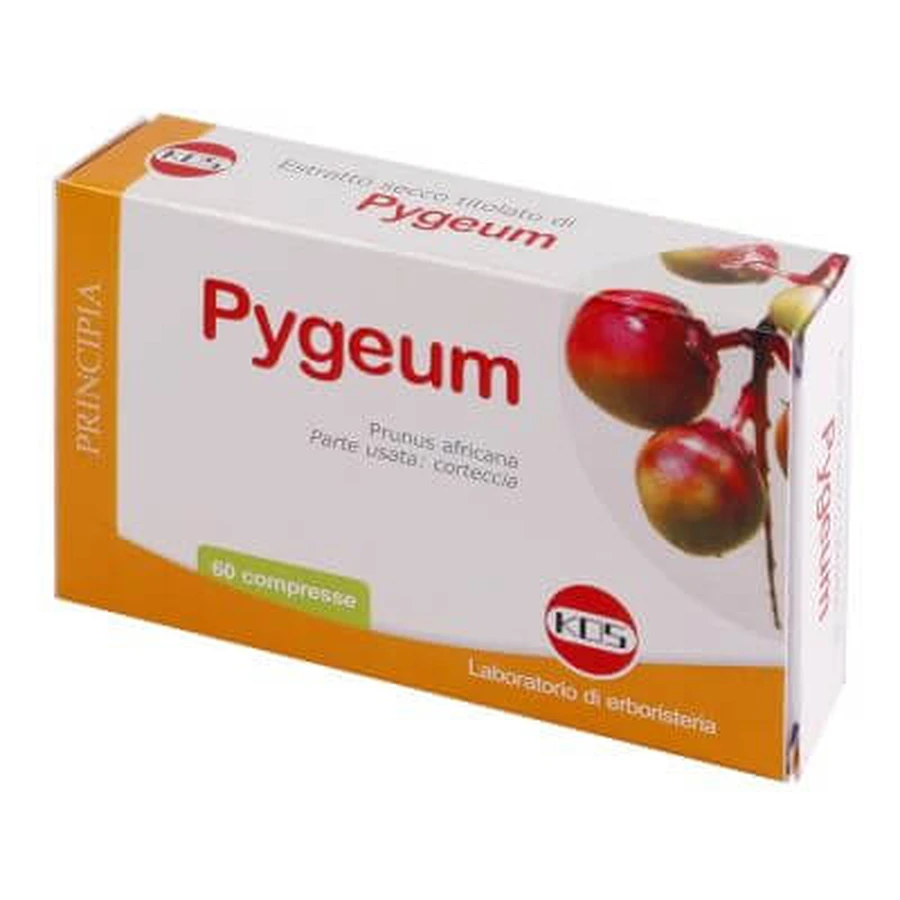 Pygeum dry extract 60 tablets