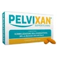 Pelvixan 12 zetpillen