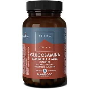 Neufundland glucosamin boswellia komplex und msm 50 kapseln