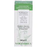 Echinacea ang 100ml mother tincture