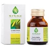 Garcinia 100 Kapseln 430mg