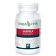 Graviola 60 capsules