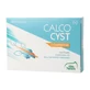 Calcocyst 30 tabletten