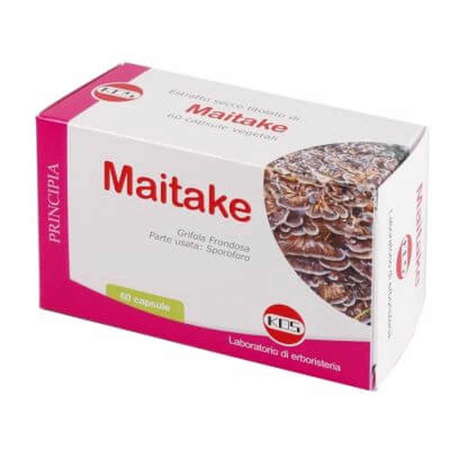 Maitake droog extract 60 capsules