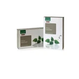 Organic nettle 20 15 ml drinkable ampoules