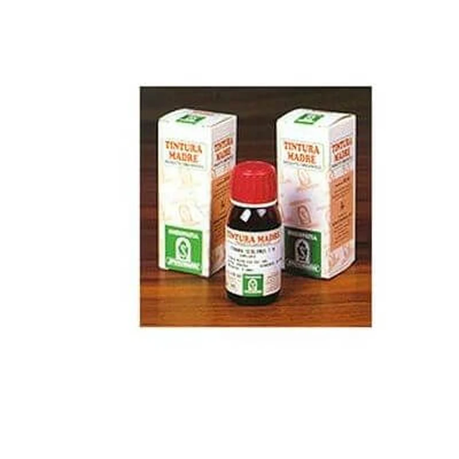 Pilosella 20 50ml tm