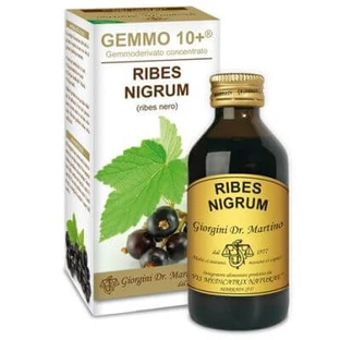 Gemmo 10+ Schwarze Johannisbeere 100 ml alkoholfreie Flüssigkeit
