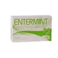 Menthe verte 30 gélules 420 mg