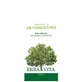 Superventilate arcilla verde 300 g