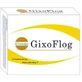 Gixoflog 16 sachets