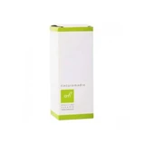 Astragalus membranaceus Urtinktur Tropfen 100 ml