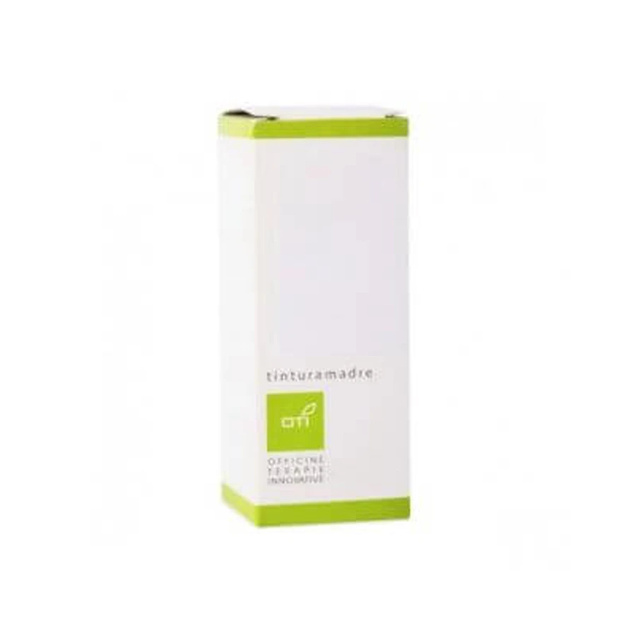 Astragalus membranaceus Urtinktur Tropfen 100 ml