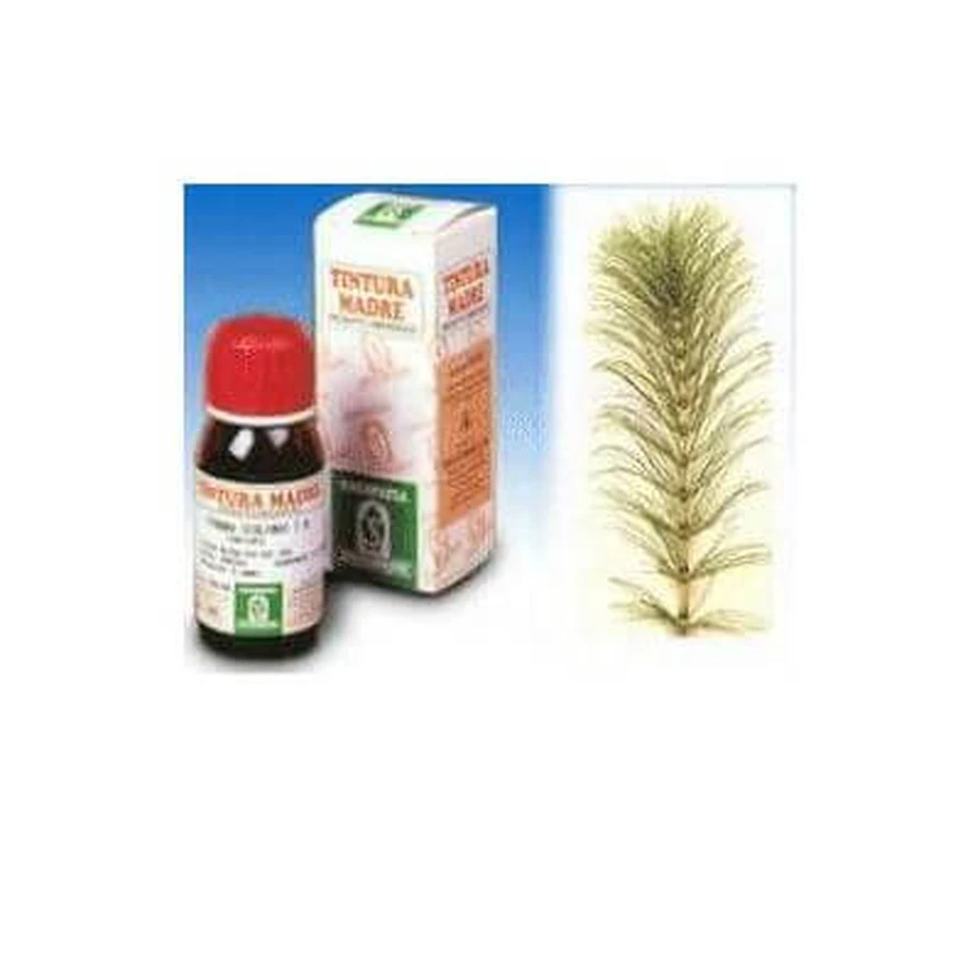 Horsetail 12 50ml tm