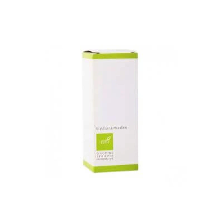 Propolis Urtinktur Tropfen 100ml