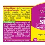 Shilajit Mumio, 60 Kapseln, Herbagetica Shilajit Mumio, 60 Kapseln, Herbagetica