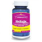 Shilajit Mumio, 60 Kapseln, Herbagetica