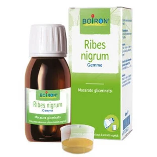 Ribes nigrum glycerine maceraat 60 ml int