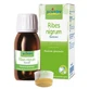 Macerado glicérico de Ribes nigrum 60 ml int