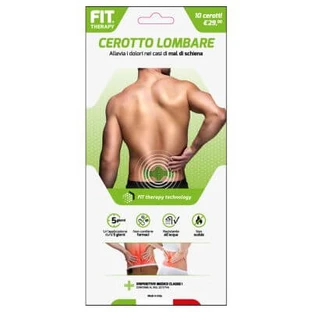 Fit therapy lumbar patch 10 pieces